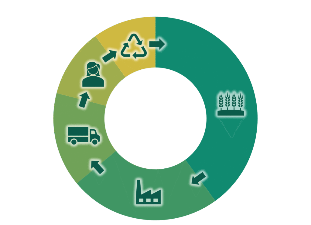 Life Cycle Assessment (LCA) environmental footprint - life cycle stages of food and agricultural products