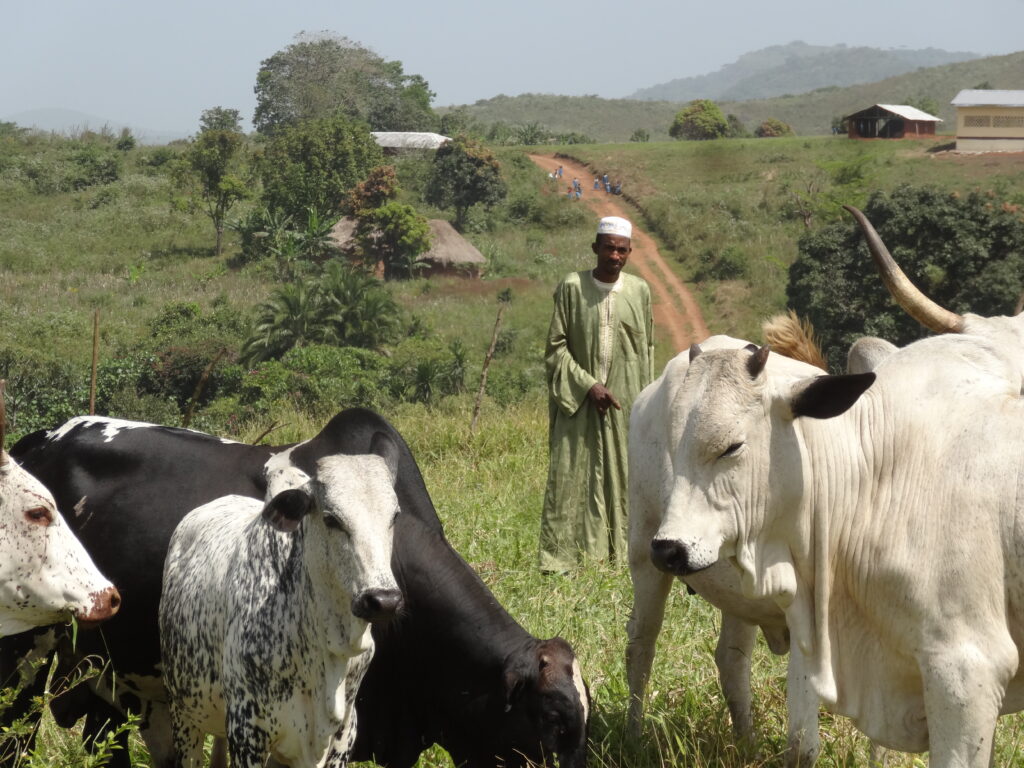 Climate risk assessment Climate risk assessment to identify climate risks in your supply chain and implement effective adaptation strategies