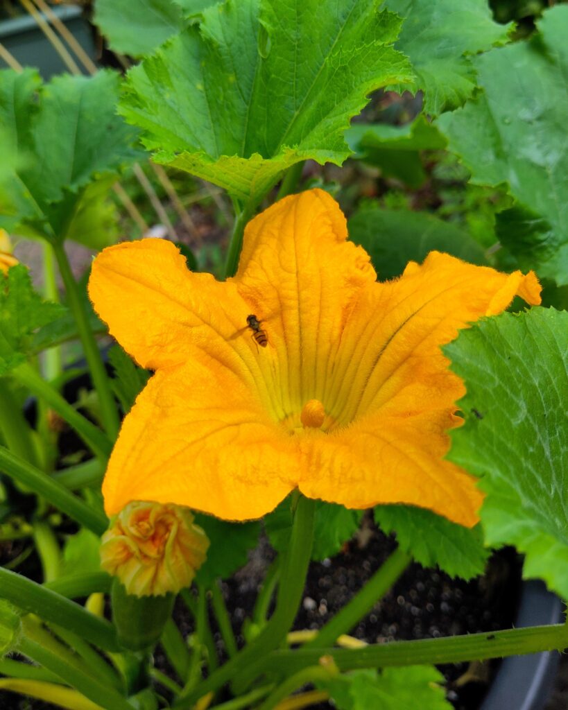 LCA training and advice (picture by foodprintsight) LCA life cycle assessment training, capacity building and advice